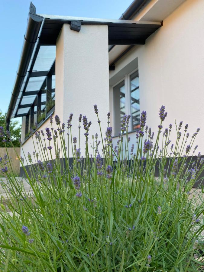 Lavender Garden Apartment デブレツェン エクステリア 写真